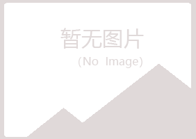 九江庐山雅阳化学有限公司